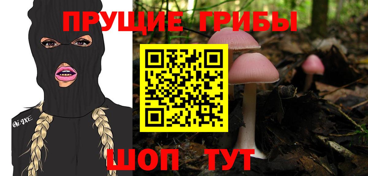 Галлюциногенные грибы прущие грибы  хочу   Южноуральск  Псилоцибиновые грибы GOLDEN TEACHER  Вход с VPN 