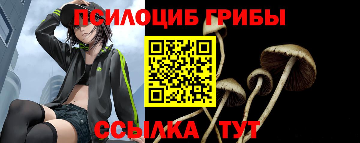 Галлюциногенные грибы MAGIC MUSHROOMS Южноуральск